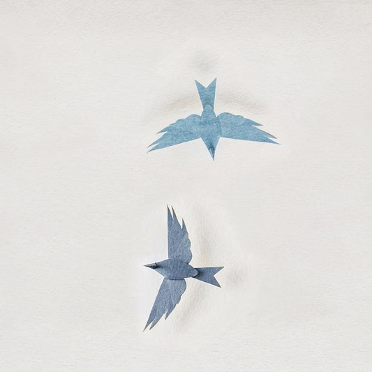 Paper Birds -  Sheet music